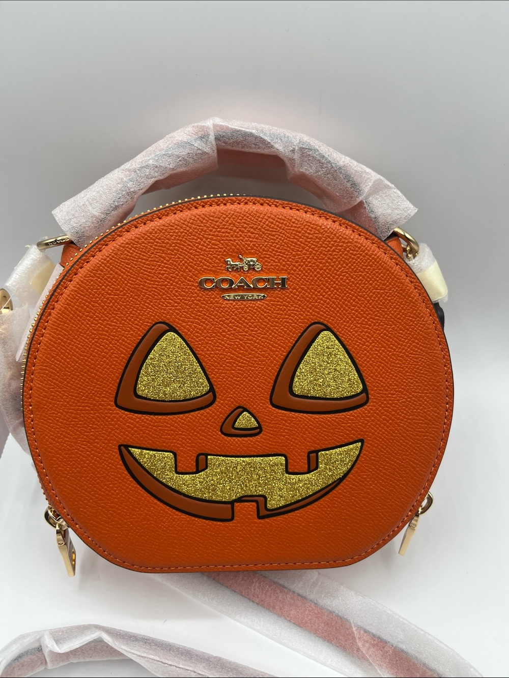 Coach Pumpkin Canteen Crossbody 2024